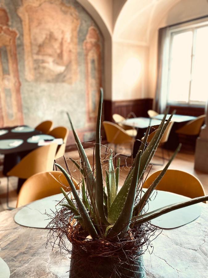 Stadthotel Styria Steyr Zewnętrze zdjęcie