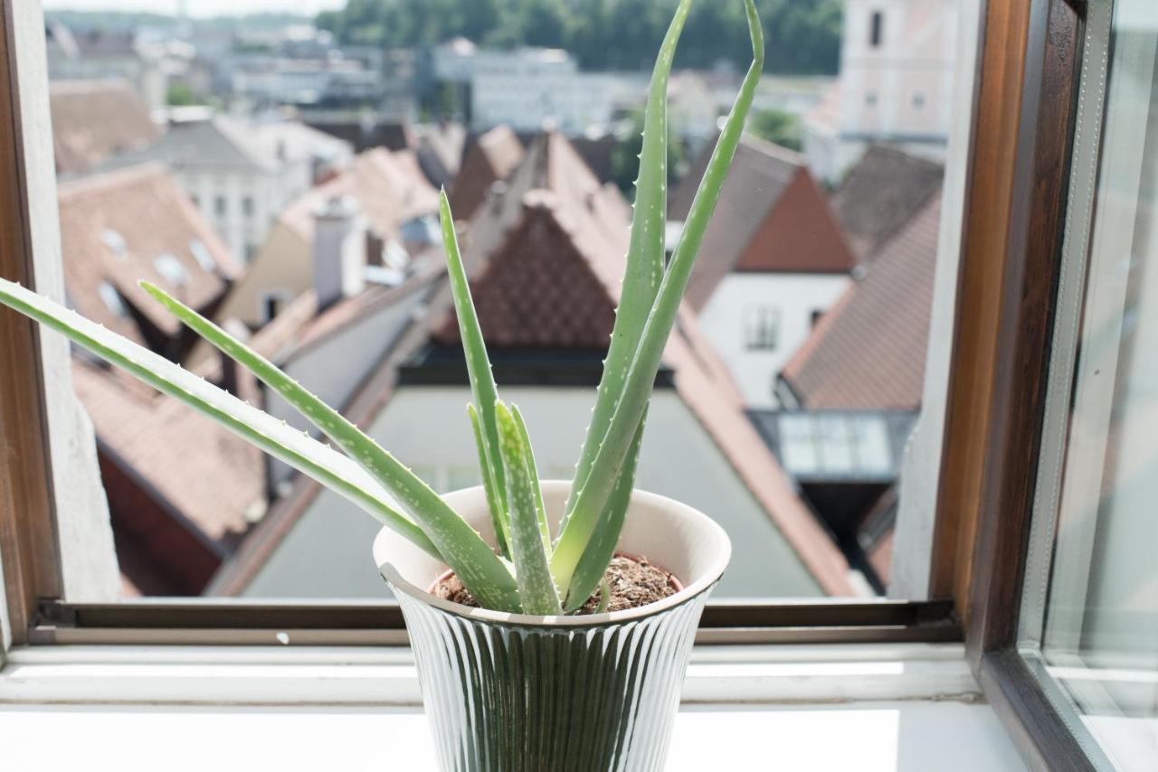 Stadthotel Styria Steyr Zewnętrze zdjęcie