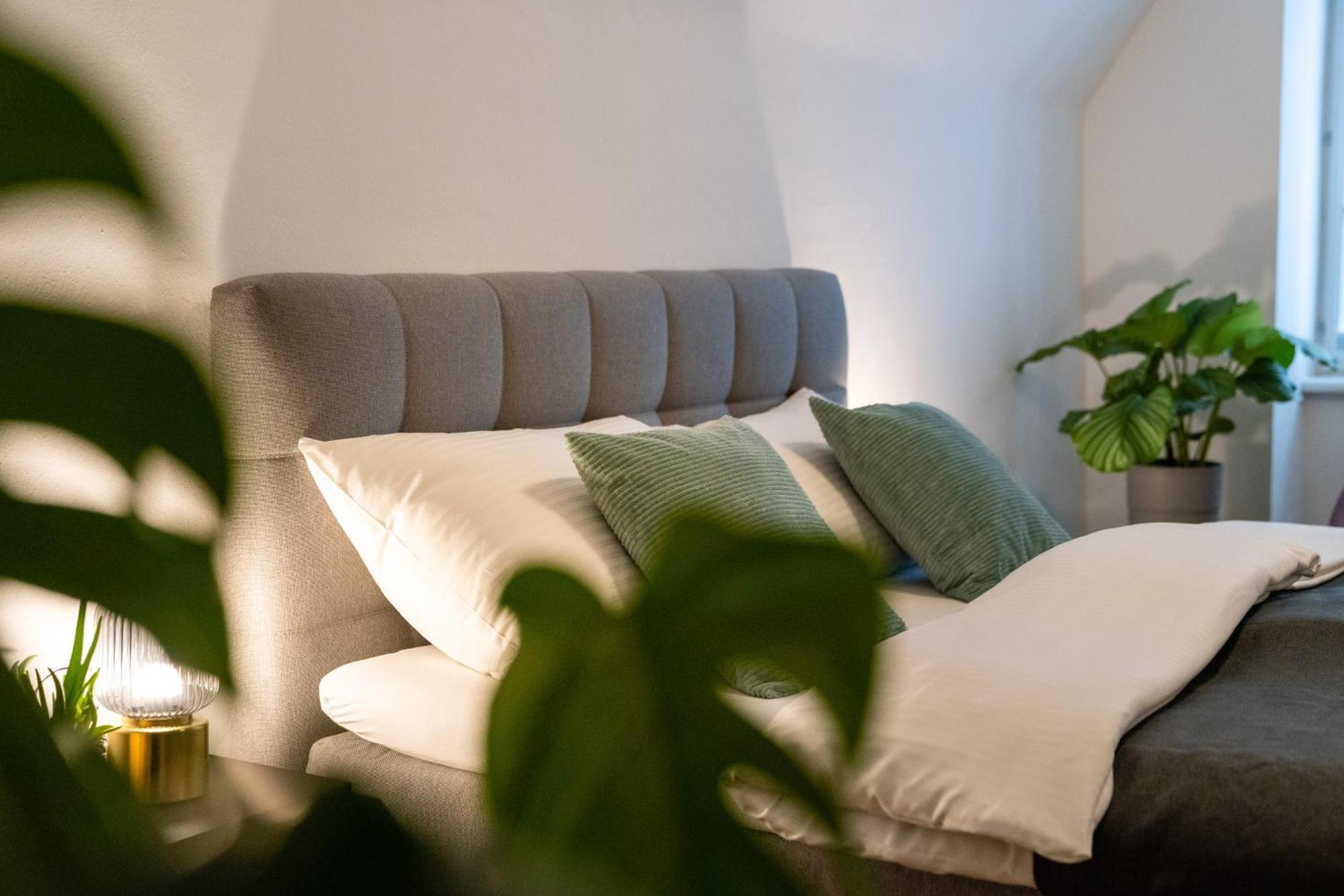 Stadthotel Styria Steyr Zewnętrze zdjęcie
